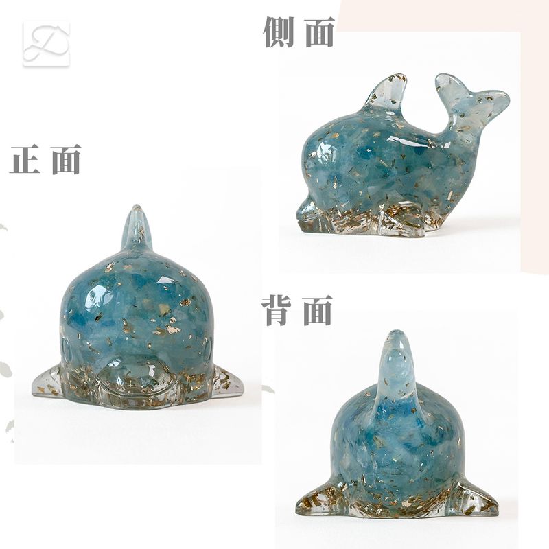 彤恩時尚-M號海豚細節圖