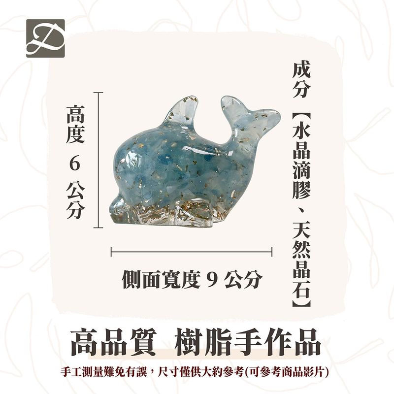 彤恩時尚-M號海豚尺寸圖
