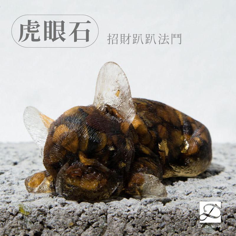 S號趴趴法鬥-虎眼石_工作區域 1.jpg