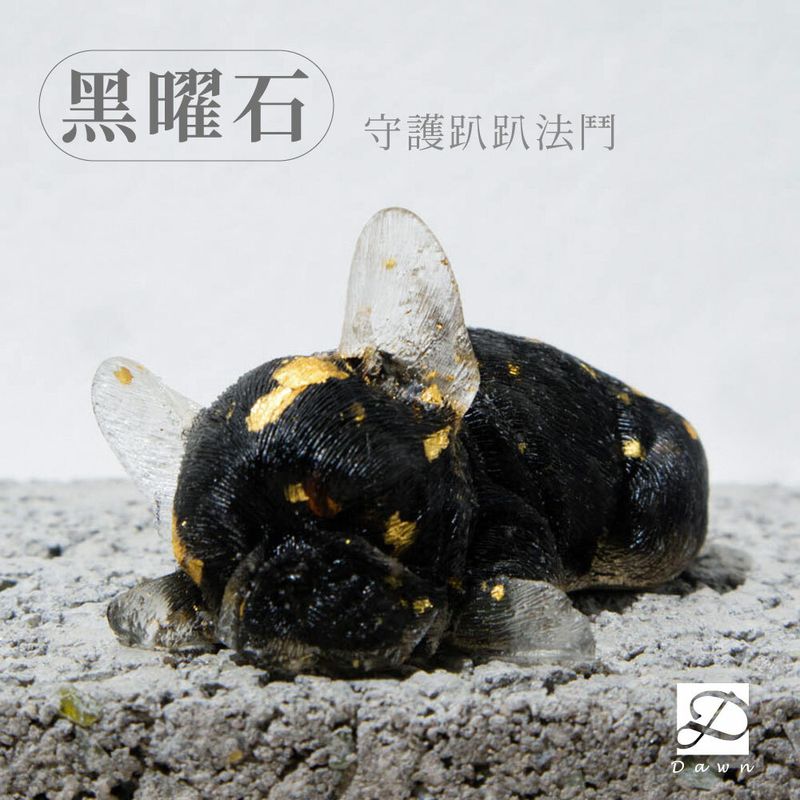 S號趴趴法鬥-黑曜石_工作區域 1.jpg