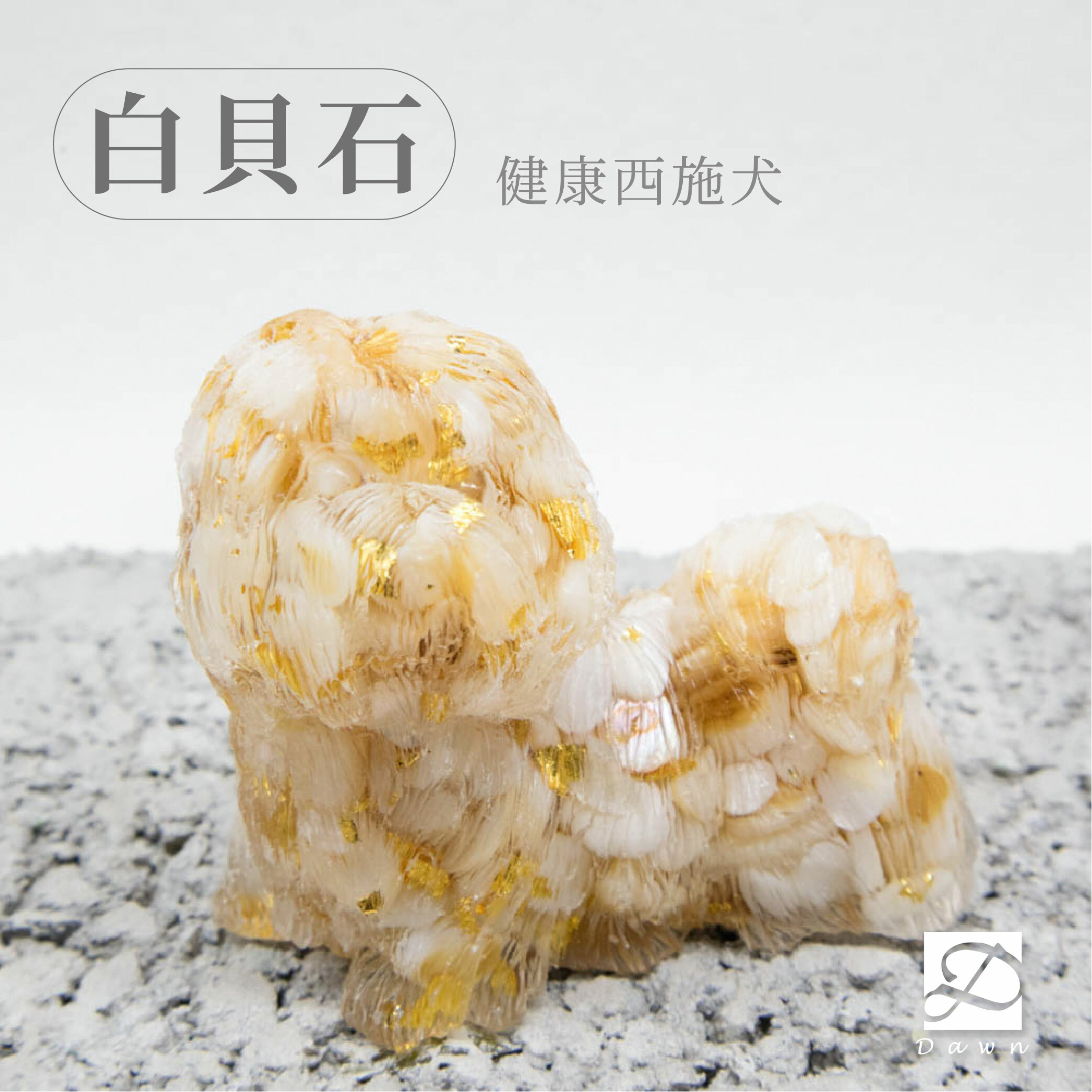 彤恩時尚-L號長毛狗-西施犬白貝石.jpg