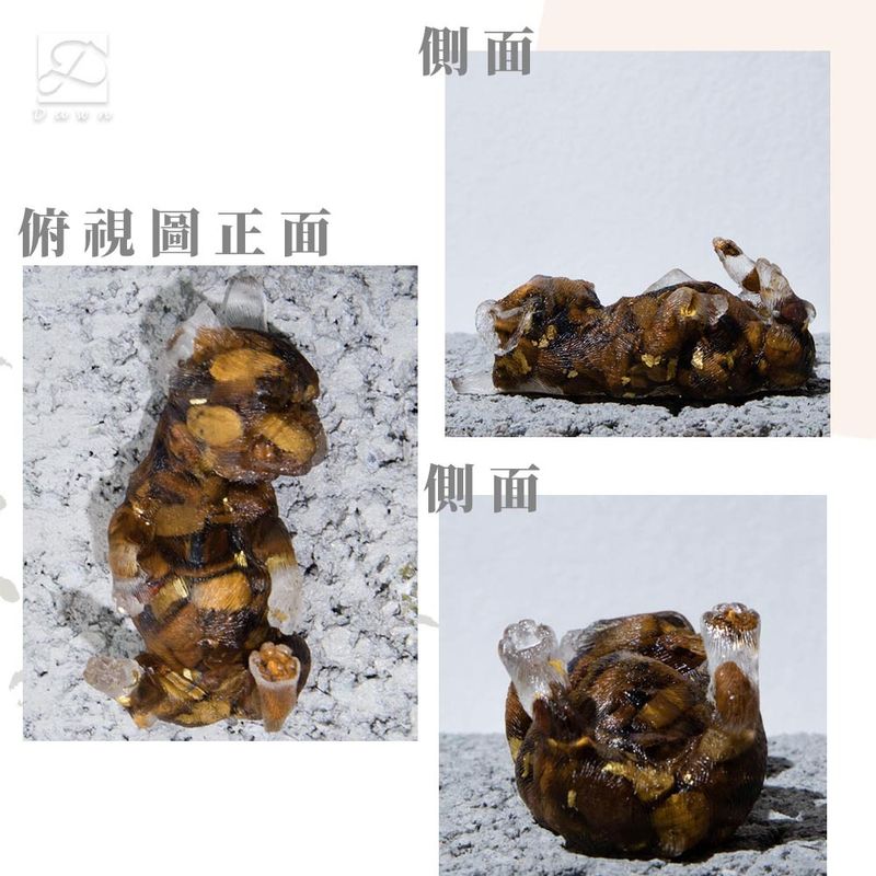 彤恩時尚-S號躺躺法鬥細節圖.jpg