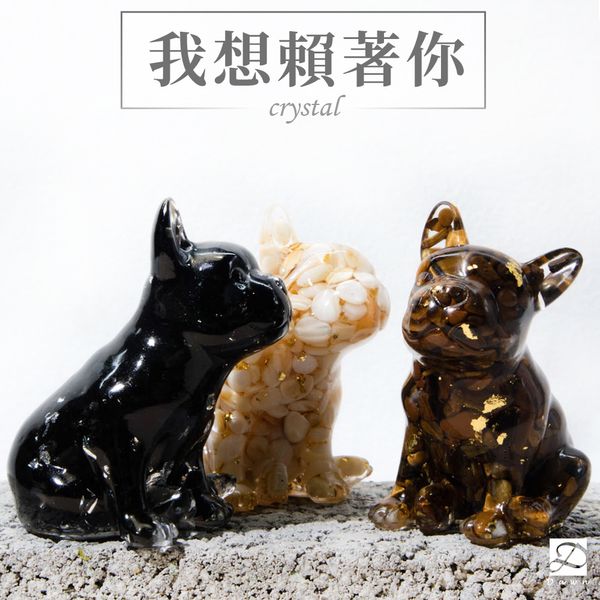 彤恩時尚-M號法鬥首圖.jpg