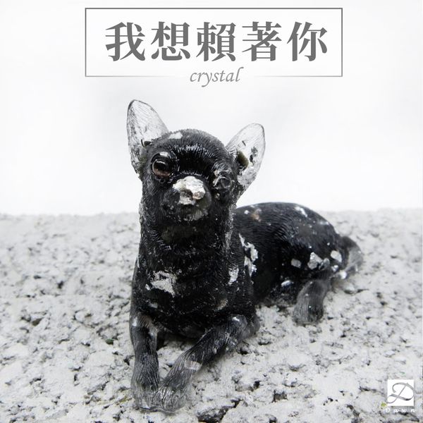 彤恩時尚-M號水晶吉娃娃-首圖.jpg