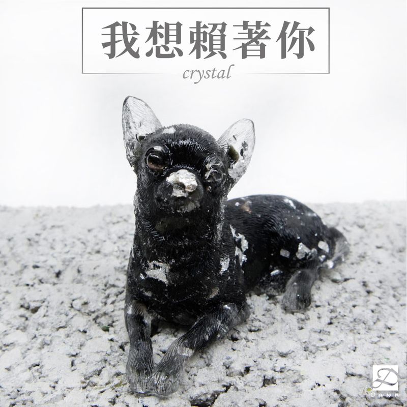 彤恩時尚-M號水晶吉娃娃-首圖.jpg