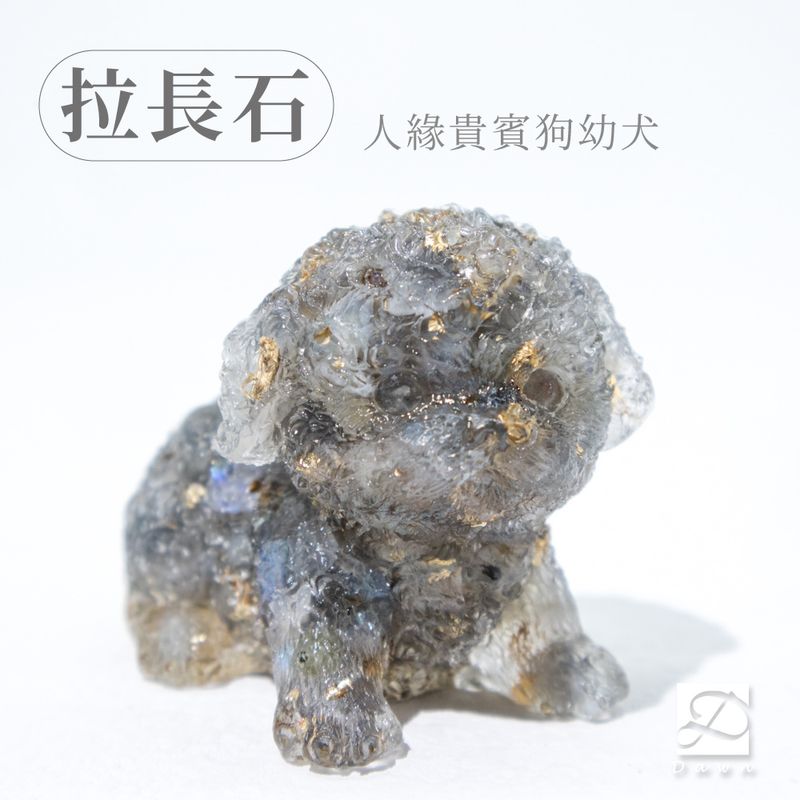彤恩時尚-M號貴賓狗幼犬-拉長石.jpg
