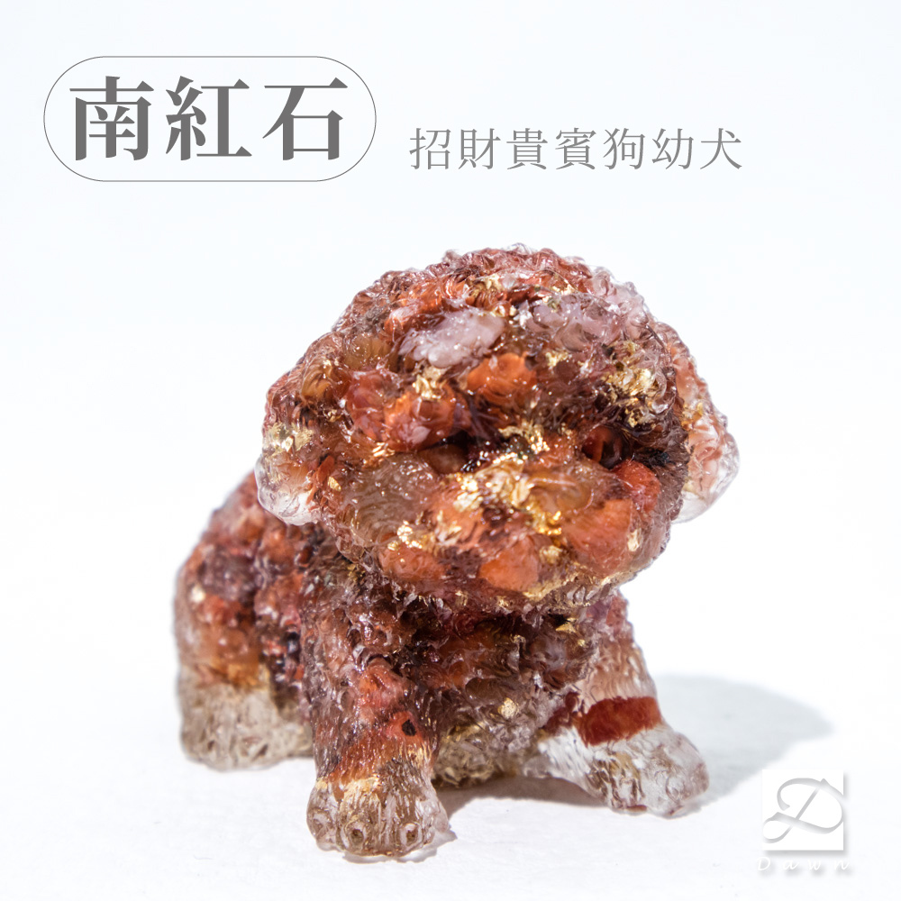 彤恩時尚-M號貴賓狗幼犬-南紅石.jpg