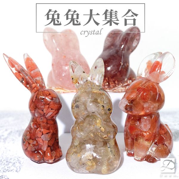 彤恩時尚-兔兔大集合首圖