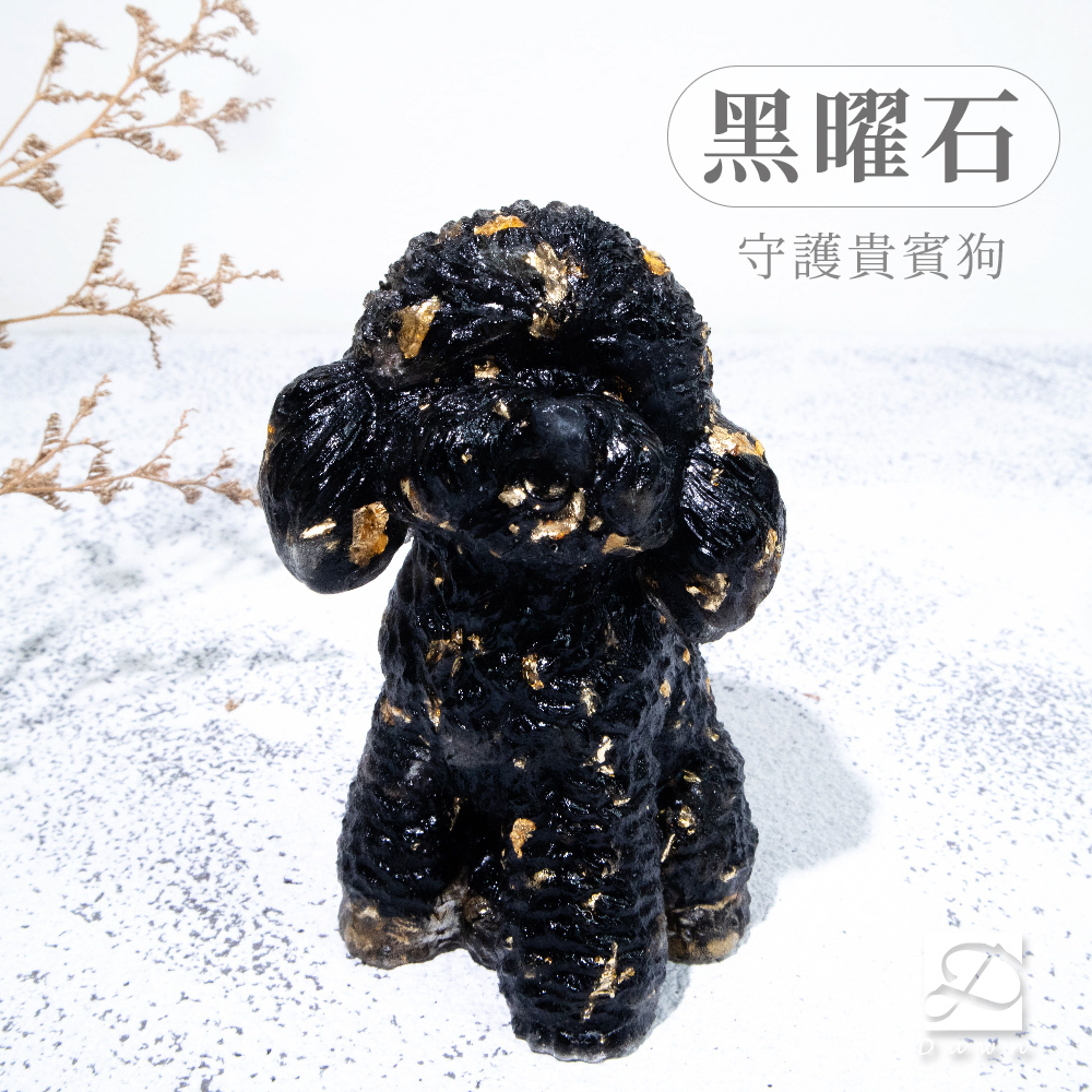 3彤恩時尚-XL號貴賓狗-黑曜石2_工作區域 1