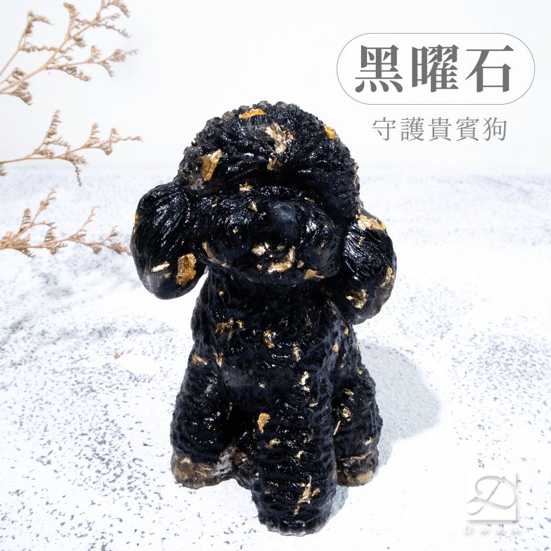 3彤恩時尚-XL號貴賓狗-黑曜石2_工作區域 1
