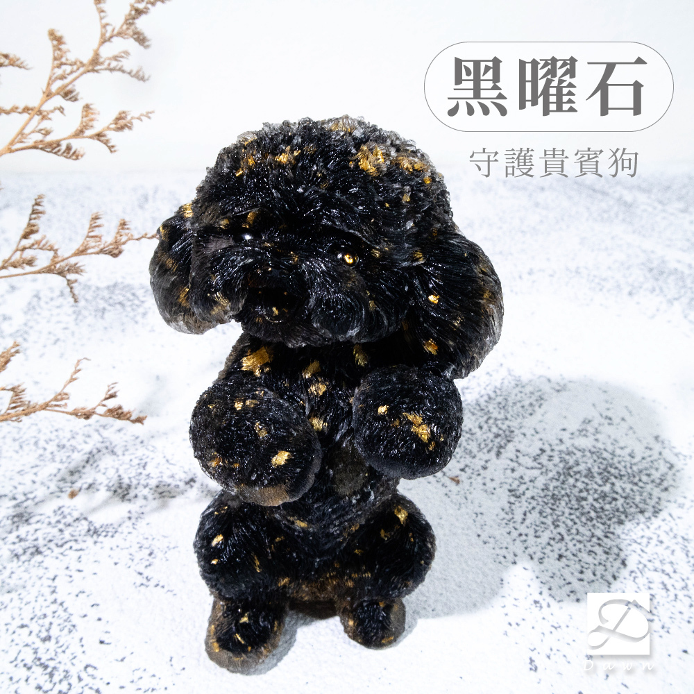 2彤恩時尚-XL號貴賓狗-黑曜石