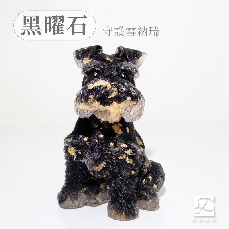 3彤恩時尚-XL號雪納瑞-黑曜石