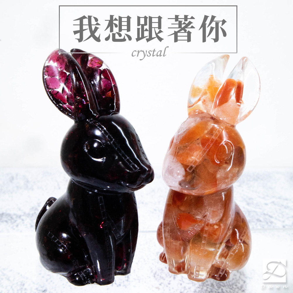 M號娃娃兔首圖