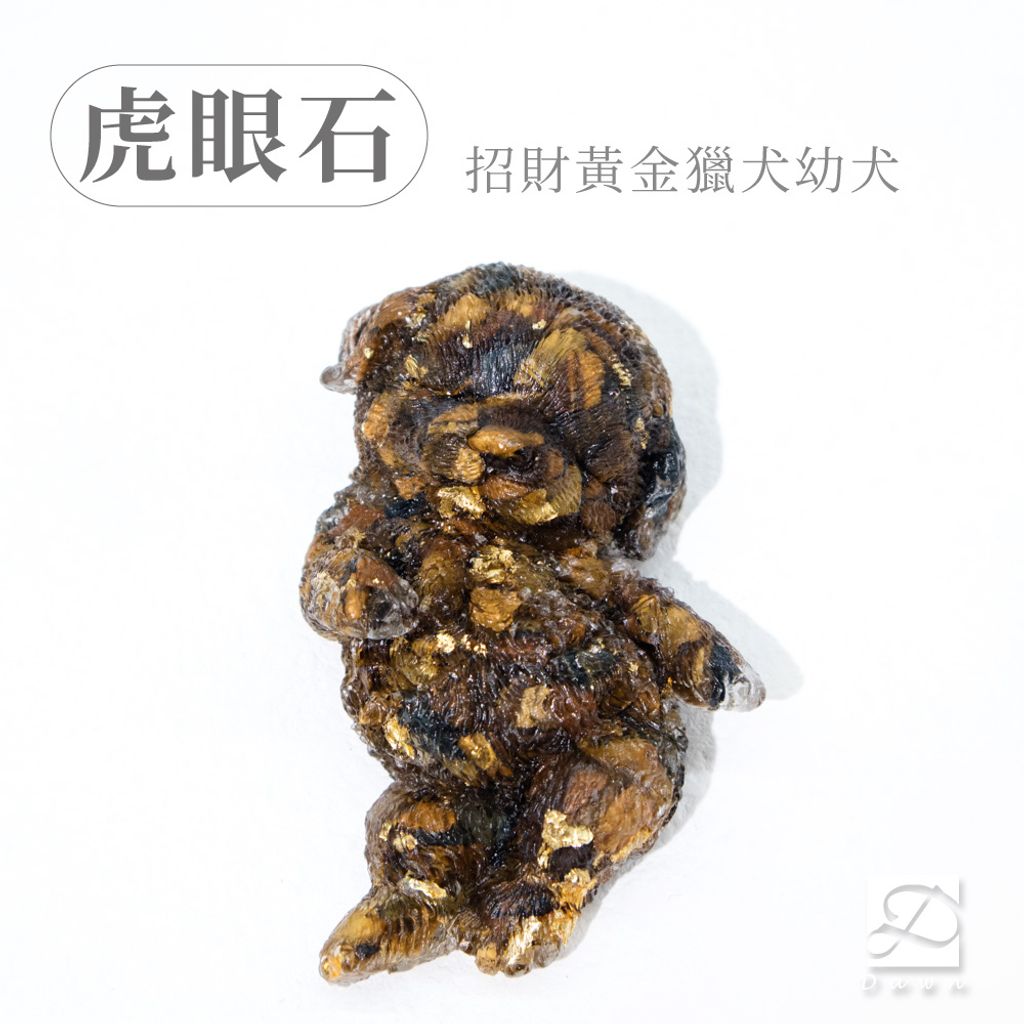 彤恩時尚-M號黃金獵犬幼犬-虎眼石.jpg