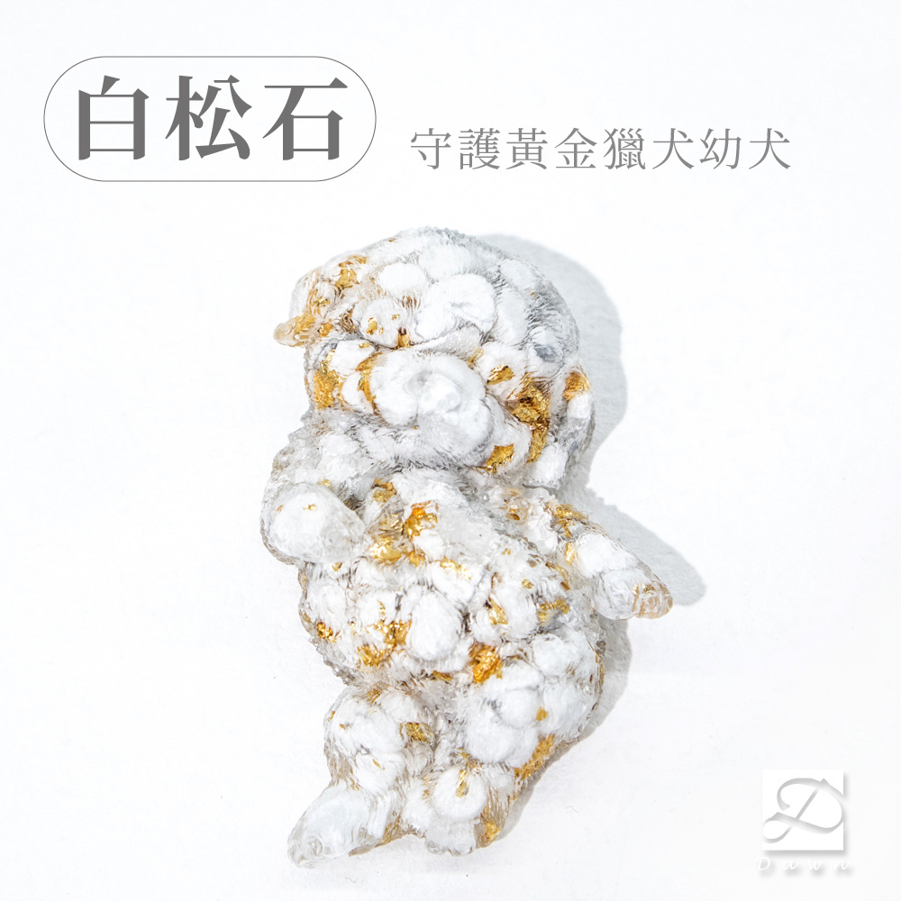 彤恩時尚-M號黃金獵犬幼犬-白松石.jpg