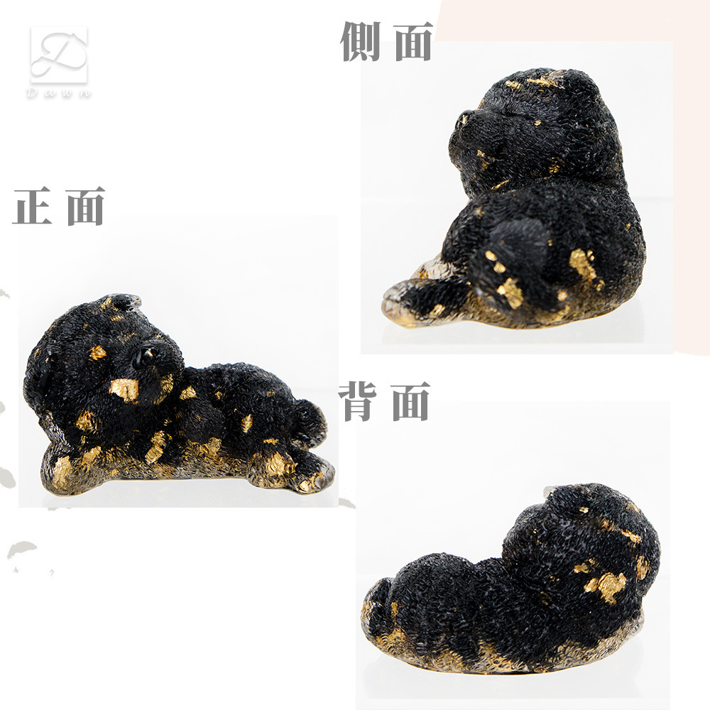 彤恩時尚-M號哈士奇幼犬細節圖.jpg