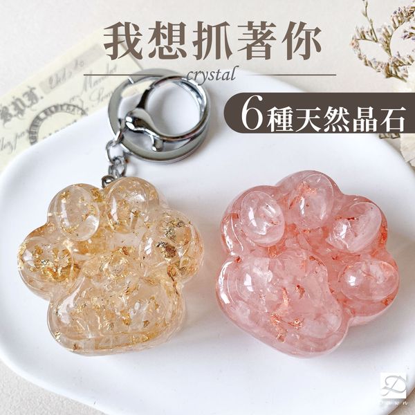 M號貓掌首圖