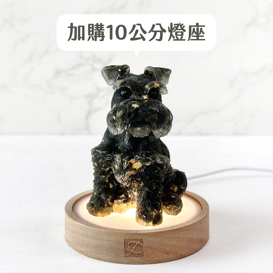 彤恩時尚-XL雪納瑞加購燈座