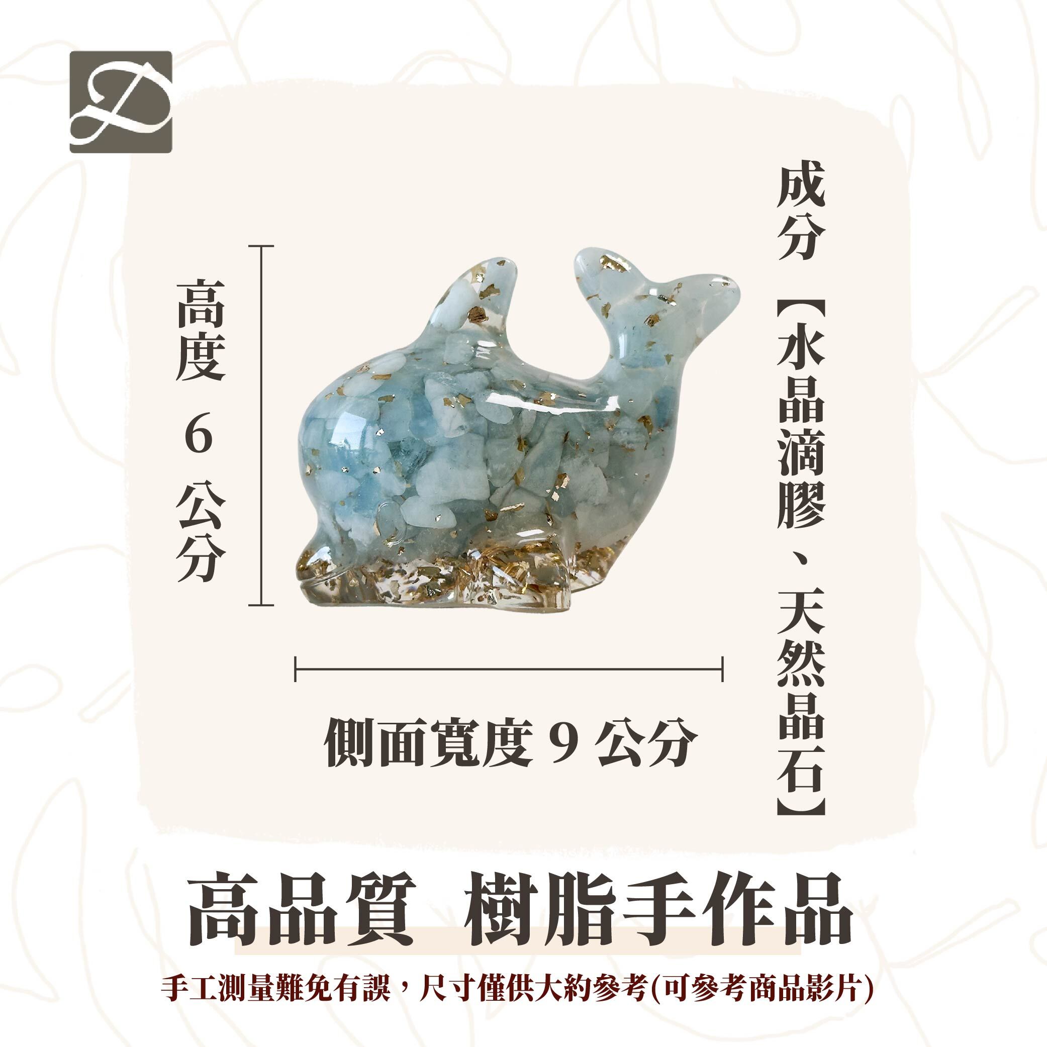 彤恩時尚-M號海豚尺寸圖