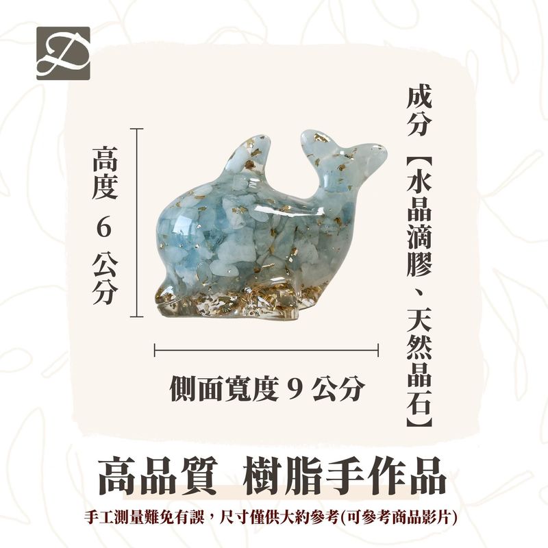 彤恩時尚-M號海豚尺寸圖
