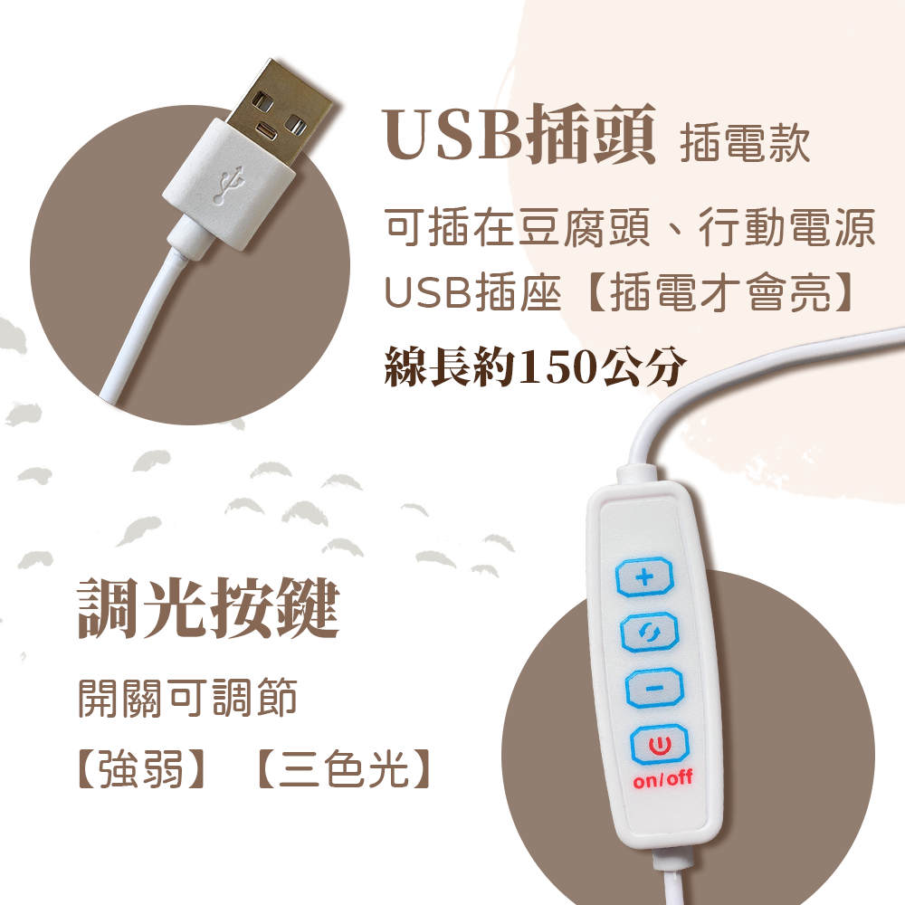 彤恩時尚-燈座-插座說明