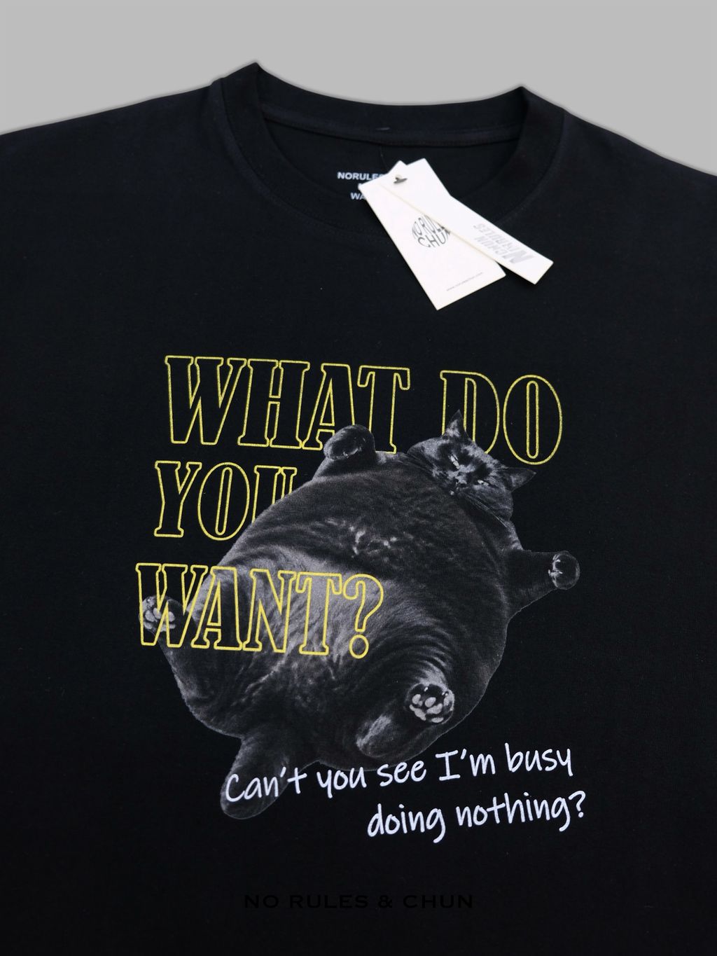 image_67B6A6BB-8C28-4427-AA72-B956D53C6DC1_1786723924