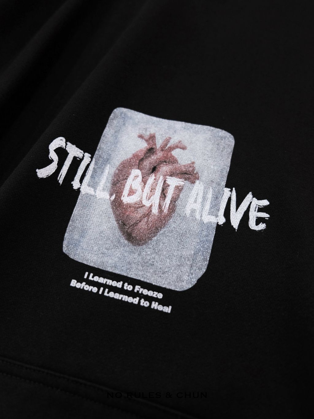 image_449C7124-87C3-4836-A170-038C710B6360_1766154399