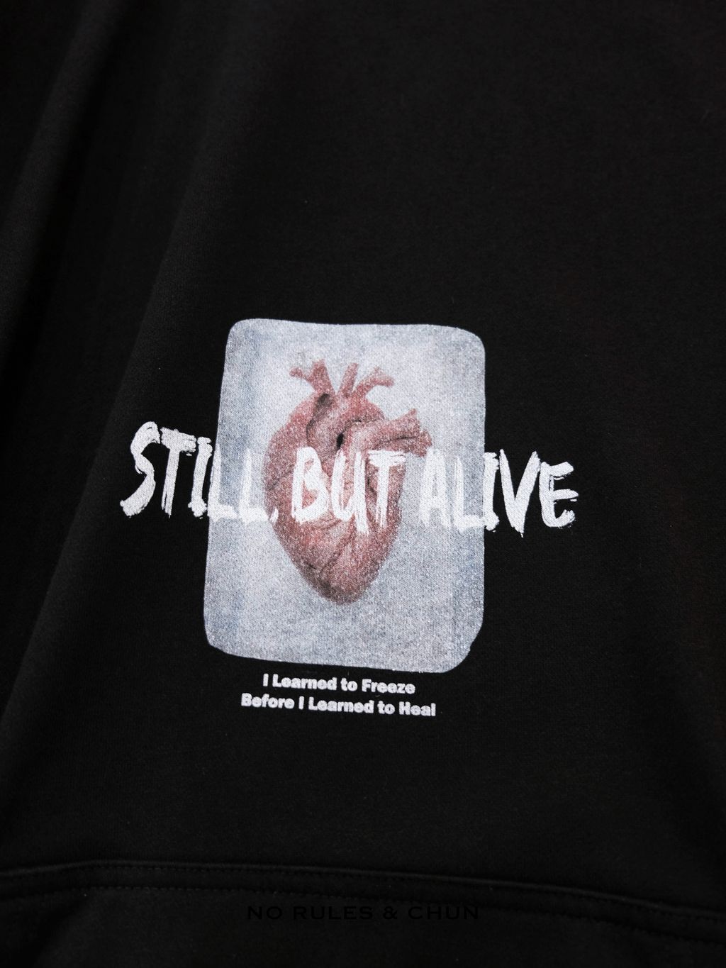 image_617C8036-EFF6-4367-B37F-B174A9320DDC_1766154399