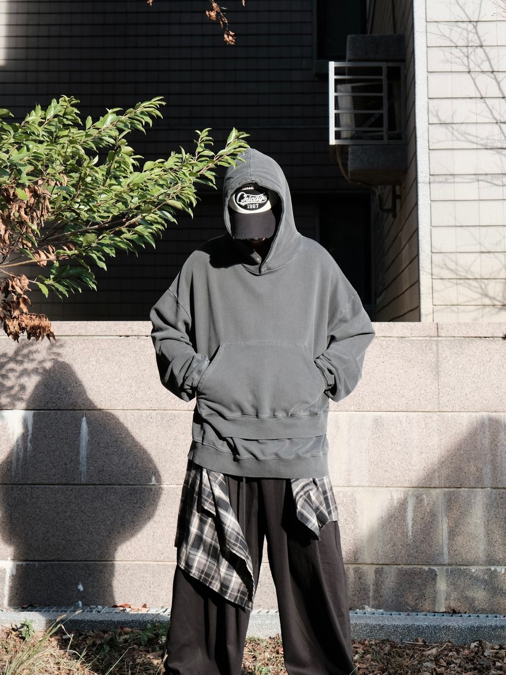 image_B65A2CA5-C6D8-453E-9099-9D75DD8CEE25_1769859131