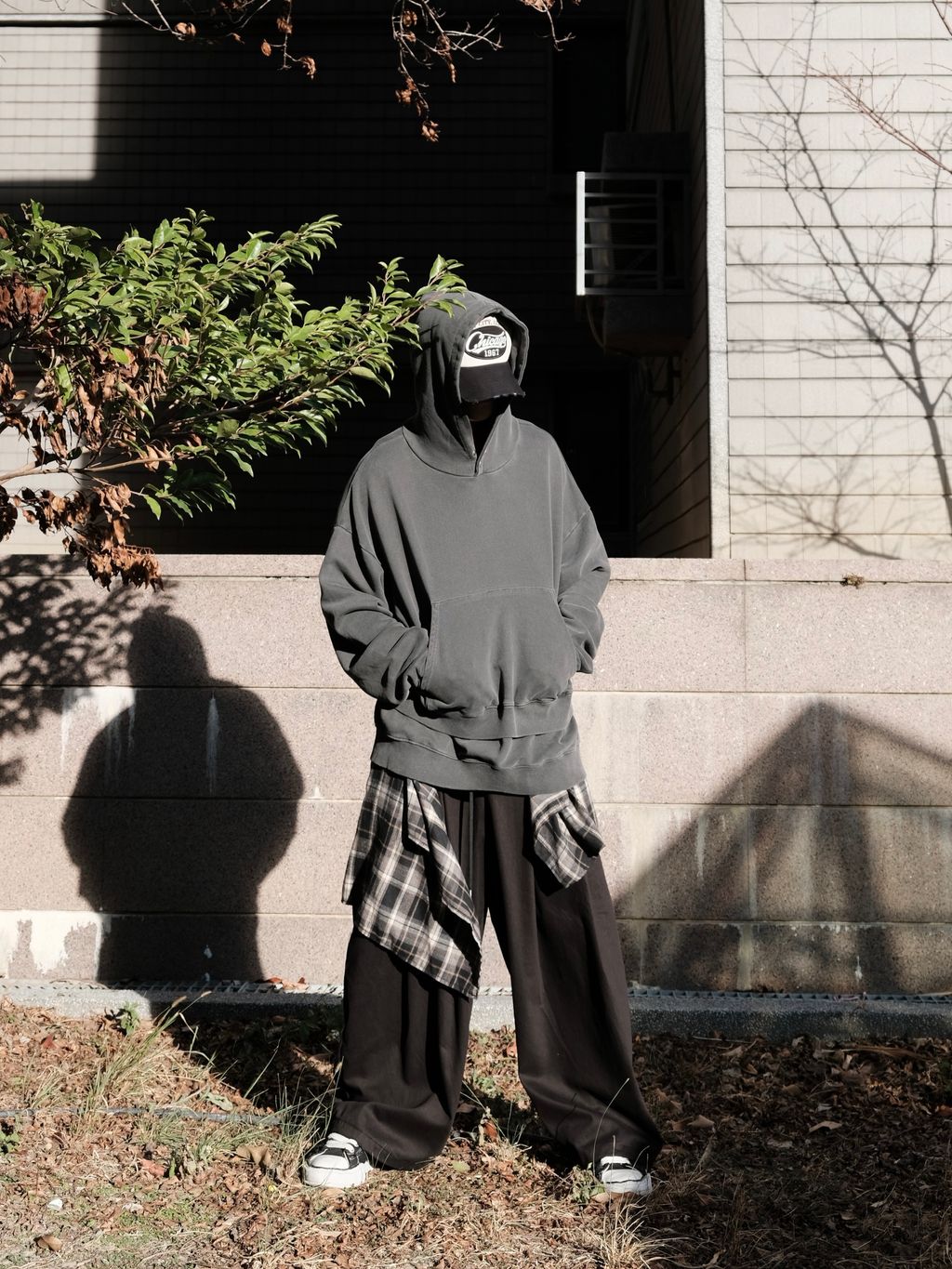 image_CB4A55AA-5BBA-4009-9C68-8A6BCC10C844_1769859131