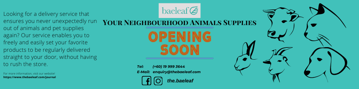 Grand Opening
