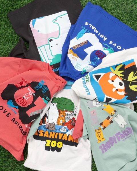 image_9DC116AD-3452-4932-B99C-ACA47B167495_1773308908