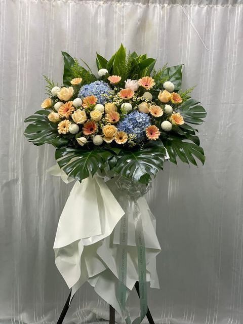 AE050FD3-F7DB-41B8-B781-C81590E0D150