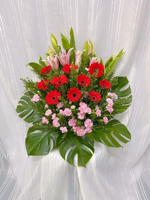 WhatsApp Image 2023-02-27 at 9.55.21 AM