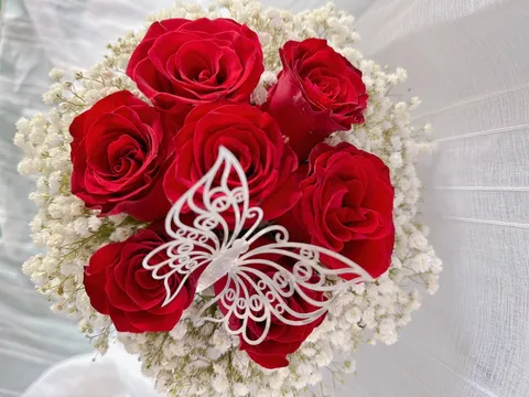 photo_2023-05-03_15-17-10