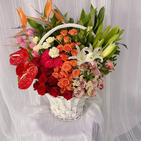 photo_2023-06-02_15-40-19