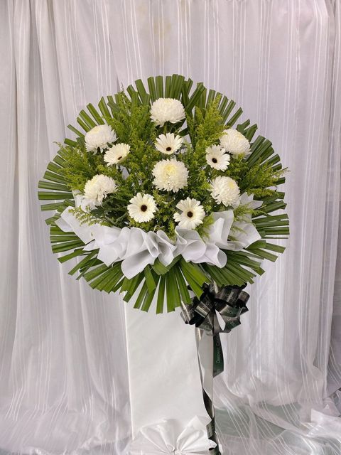 photo_2023-06-02_16-33-28