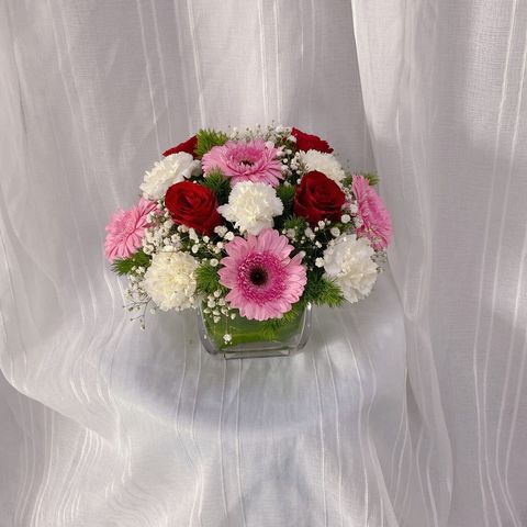 photo_2023-06-02_18-25-37