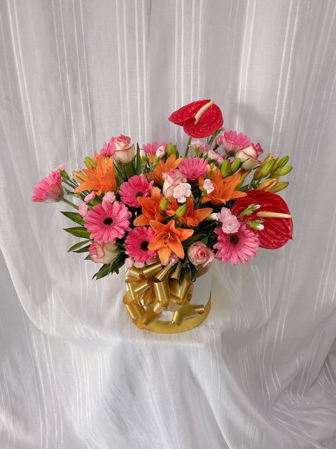 photo_2023-07-03_16-36-02