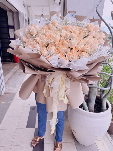 a5509dc6-a578-4efd-9baf-aadb4e9a5c5a