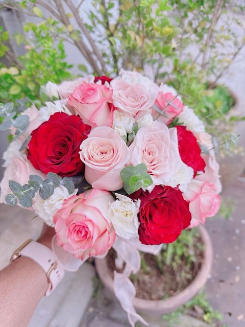 57e08904-8752-4696-88ea-0d77df3aaa99