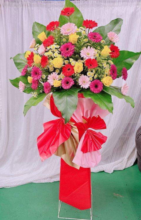 a5108dab-5f52-4b04-862f-5944a00853d5