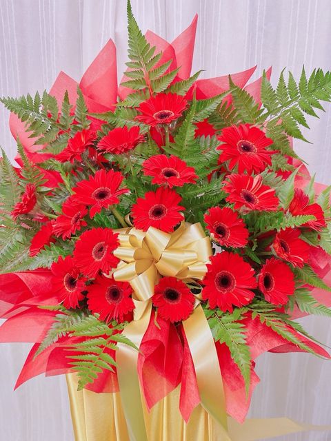 photo_6240051130323288792_y