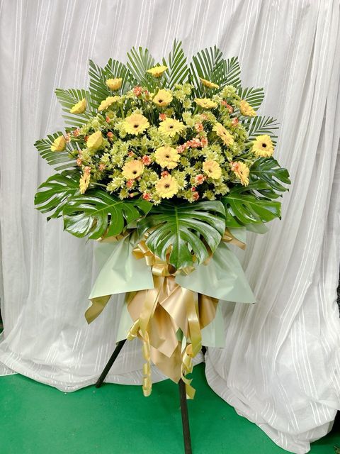 photo_6242238200684855767_y