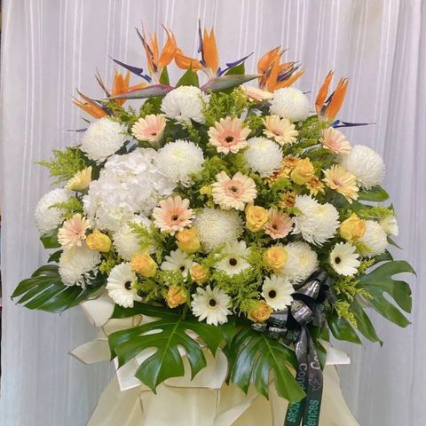 666f7de4-dde9-47a1-a14a-a0b632beac95