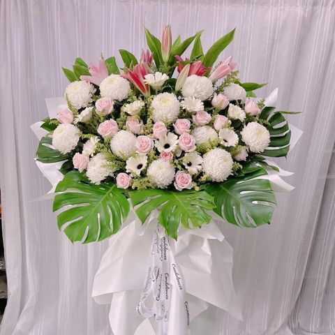 8aa4cfa6-79e6-4a8c-9244-86e601b764e5 (1)