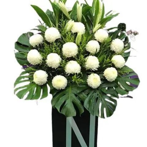 487fc80e-777d-47f0-9dbf-6cf6689deca5