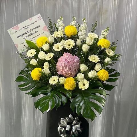 19b4e4ad-5abf-46ee-a5df-99cf2b2e8365