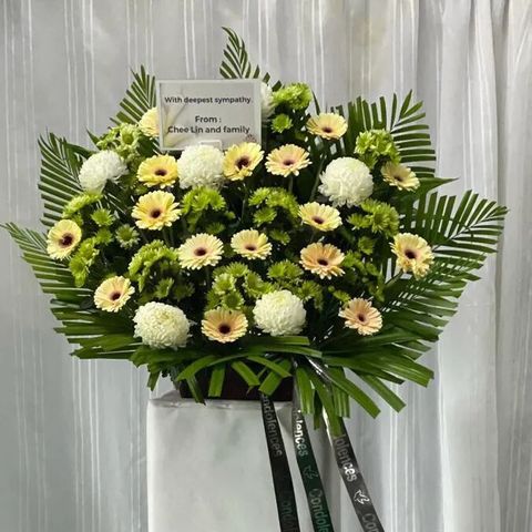 9a1595d7-7e7c-4902-8044-43e33b5ade4a