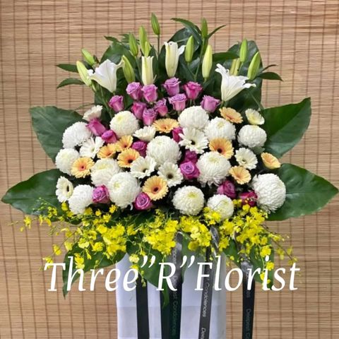 1183cf9a-96e2-415e-840f-e4fe117bdbc2